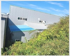  2023Ÿ��3749 ��� ���ֱ� ������ �л긮 879      ������