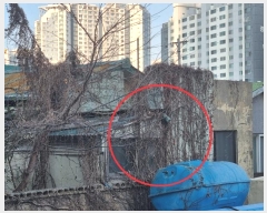  2023Ÿ��6771  ���ð��