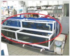  2023Ÿ60232 λ  ݰ 700, 1143ȣ      ,繫ǰ