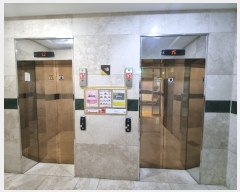  2023Ÿ55933 λ λ Ϸ154 55, 101004ȣ      Ʈ