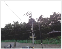  2023Ÿ58062 λ  ûе 54-3       (Ӿ)