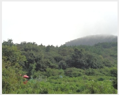  2023Ÿ58062 λ  ûе 54-3       (Ӿ)