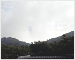  2023Ÿ58062 λ  ûе 54-3       (Ӿ)