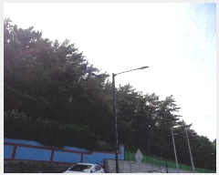  2023Ÿ58062 λ  ûе 54-3       (Ӿ)