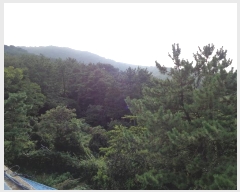  2023Ÿ58062 λ  ûе 54-3       (Ӿ)