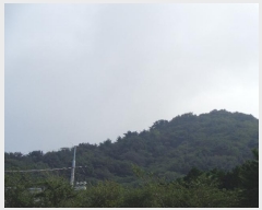  2023Ÿ58062 λ  ûе 54-3       (Ӿ)