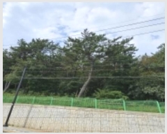  2023Ÿ58062 λ  ûе 54-3       (Ӿ)