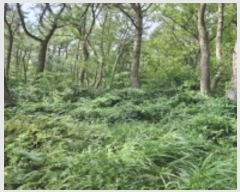  2023Ÿ58062 λ  ûе 54-3       (Ӿ)