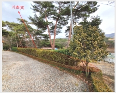  2023Ÿ714 泲  Ϻϸ ϸ 830-1      ð