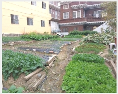  2023Ÿ��9315  �������