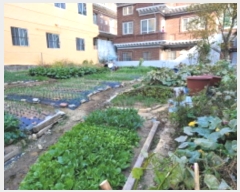  2023Ÿ��9315  �������