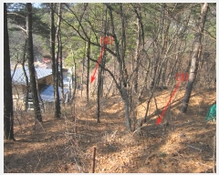  2023Ÿ115135  ֱ ﳲ  154-56      (Ӿ)