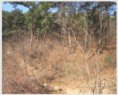  2023Ÿ115135  ֱ ﳲ  154-56      (Ӿ)