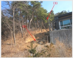  2023Ÿ115135  ֱ ﳲ  154-56      (Ӿ)