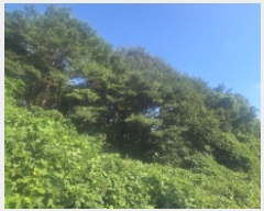  2023Ÿ��6651  �Ӿ߰��