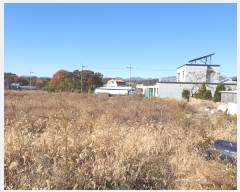  2023Ÿ��10339 ��� ���ֱ� ������ �žϸ� 126-10      ����(������)���