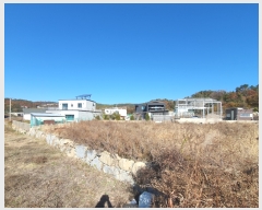  2023Ÿ��10339 ��� ���ֱ� ������ �žϸ� 126-10      ����(������)���