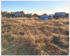  2023Ÿ��10339 ��� ���ֱ� ������ �žϸ� 126-10      ����(������)���