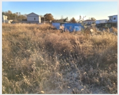  2023Ÿ��10339 ��� ���ֱ� ������ �žϸ� 126-10      ����(������)���