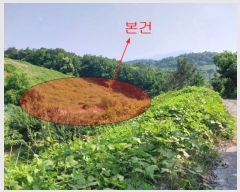  2023Ÿ4501  ֱ  ȭ긮 287-1      ()