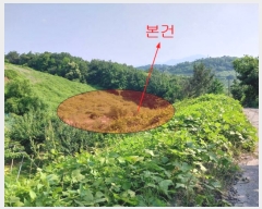  2023Ÿ4501  ֱ  ȭ긮 287-1      ()