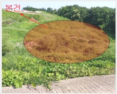  2023Ÿ4501  ֱ  ȭ긮 287-1      ()