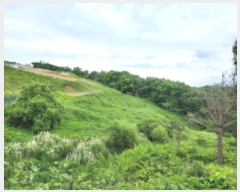  2023Ÿ4501  ֱ  ȭ긮 287-1      ()