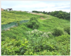  2023Ÿ4501  ֱ  ȭ긮 287-1      ()