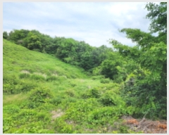  2023Ÿ4501  ֱ  ȭ긮 287-1      ()