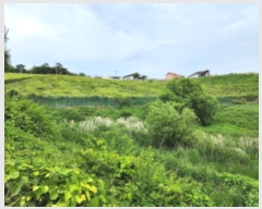  2023Ÿ4501  ֱ  ȭ긮 287-1      ()