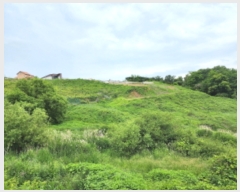  2023Ÿ4501  ֱ  ȭ긮 287-1      ()