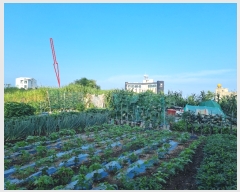  2023Ÿ��5597  �������