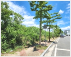  2023Ÿ��5597  �������