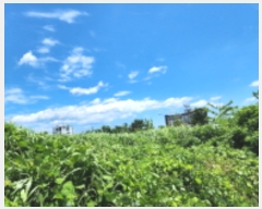  2023Ÿ��5597  �������