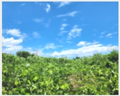  2023Ÿ��5597  �������