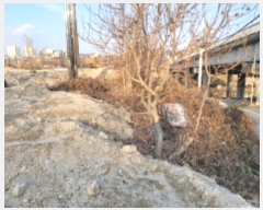  2023Ÿ10766  ֱ » Ÿ 399-1      (Ӿ)