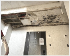  2023Ÿ��5474 �泲 ���� ���ֵ� 841-1 1��1ȣ      ����Ʈ���