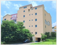  2023Ÿ6552  ϱ ߾2 238, 2205ȣ (ϵ,縶׶)     ,繫ǰ