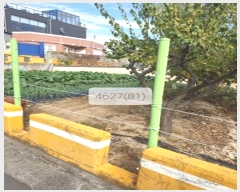  2023Ÿ4627 λ 屺   81      ()