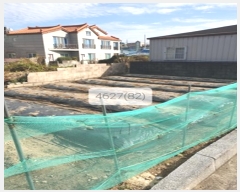  2023Ÿ4627 λ 屺   81      ()