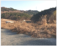  2023Ÿ5576 λ 屺  ݷ渮 257-1      ()