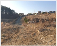  2023Ÿ5576 λ 屺  ݷ渮 257-1      ()