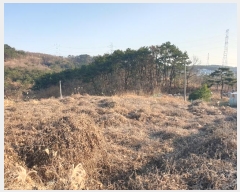  2023Ÿ5576 λ 屺  ݷ渮 257-1      ()