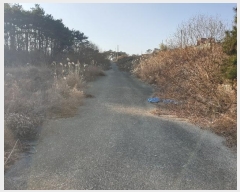  2023Ÿ5576 λ 屺  ݷ渮 257-1      ()