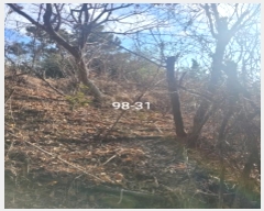  2023Ÿ5903 λ 屺 ϱ  98-21      ()