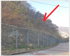  2023Ÿ��109911 �λ� ���屺 ������ �޻긮 ��24-2      ����(�Ӿ�)���