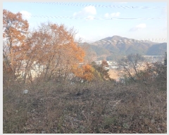  2023Ÿ��109911 �λ� ���屺 ������ �޻긮 ��24-2      ����(�Ӿ�)���