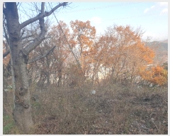  2023Ÿ��109911 �λ� ���屺 ������ �޻긮 ��24-2      ����(�Ӿ�)���