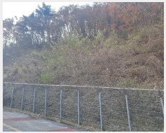  2023Ÿ��109911 �λ� ���屺 ������ �޻긮 ��24-2      ����(�Ӿ�)���