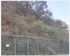  2023Ÿ��109911 �λ� ���屺 ������ �޻긮 ��24-2      ����(�Ӿ�)���